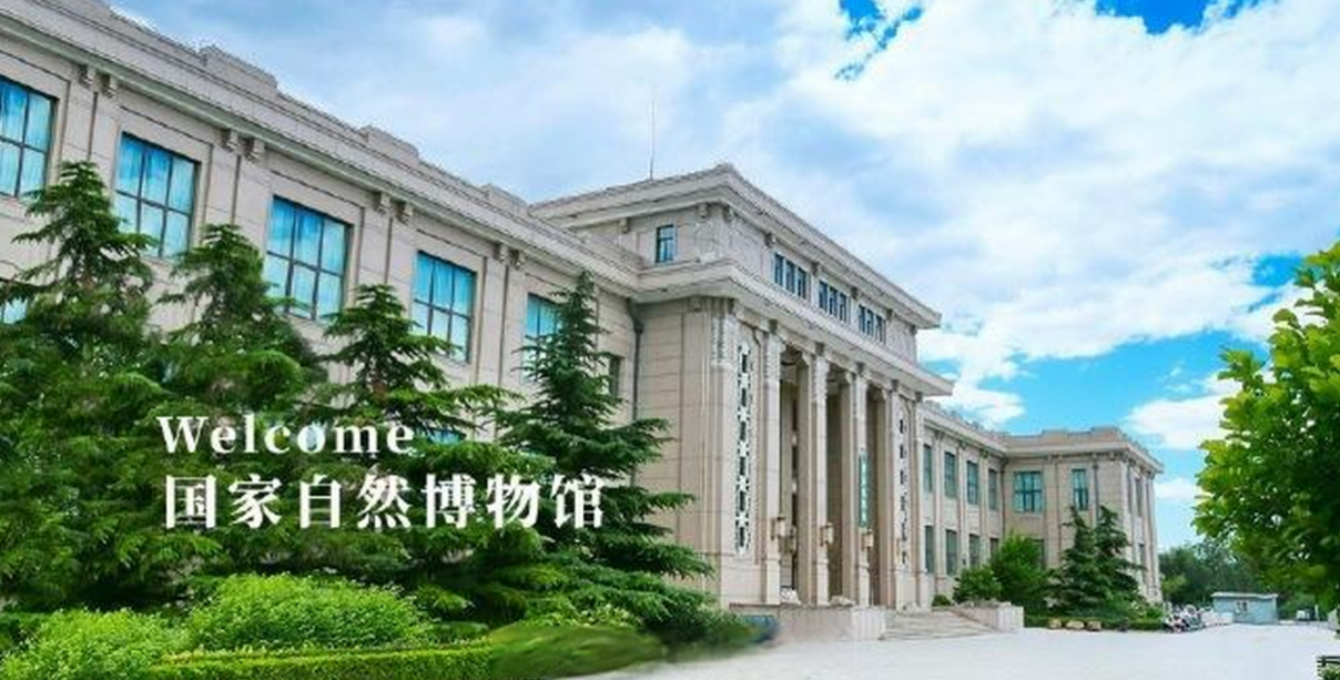 国家自然博物馆新馆计划于2029年试运营 抹香鲸标